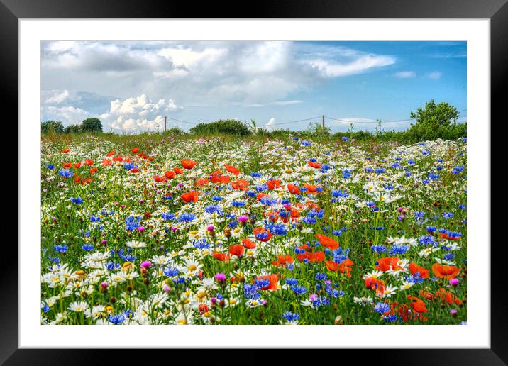 Wildflower Meadow Framed Mounted Print by Alison Chambers
