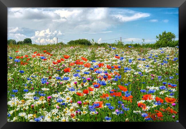 Wildflower Meadow Framed Print by Alison Chambers