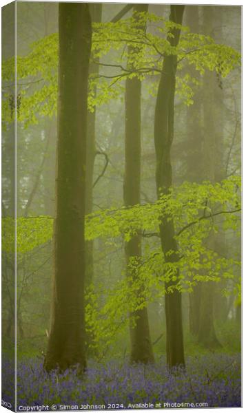 Bluebell Woodland mist Canvas Print by Simon Johnson