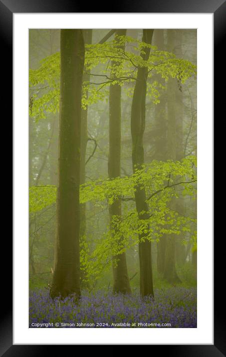 Bluebell Woodland mist Framed Mounted Print by Simon Johnson