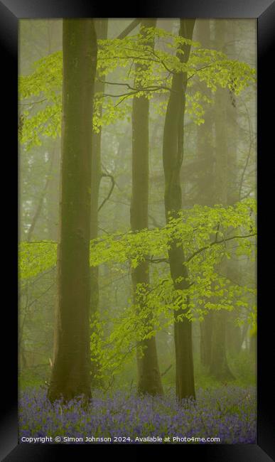 Bluebell Woodland mist Framed Print by Simon Johnson