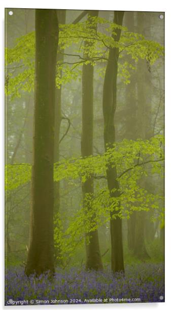 Bluebell Woodland mist Acrylic by Simon Johnson