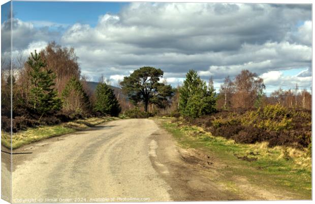 The Road From Whitewell Canvas Print by Jamie Green