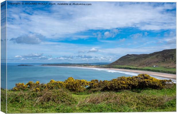 Rhossili bay and Llangennith beach on Gower Canvas Print by RICHARD MOULT