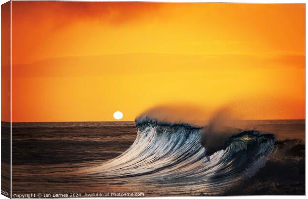 Sun and surf Canvas Print by Ian Barnes