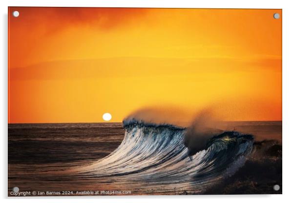 Sun and surf Acrylic by Ian Barnes