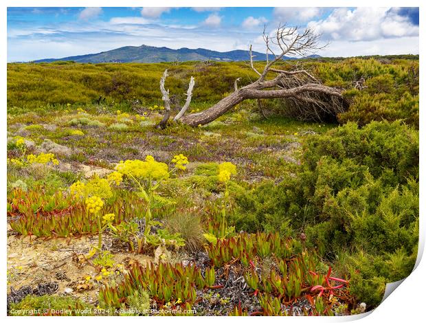 wild flowers Print by Dudley Wood