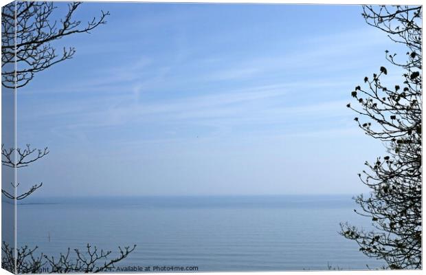 Sea and sky through trees, Filey Canvas Print by Paul Boizot