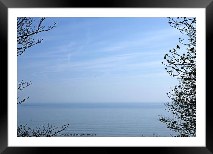 Sea and sky through trees, Filey Framed Mounted Print by Paul Boizot
