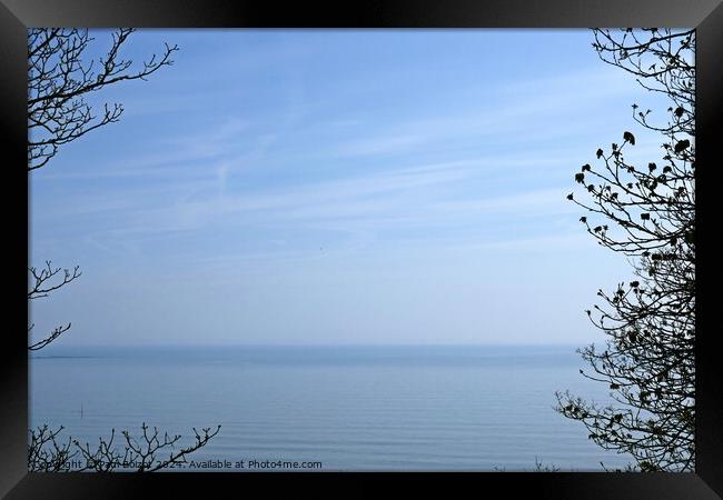 Sea and sky through trees, Filey Framed Print by Paul Boizot