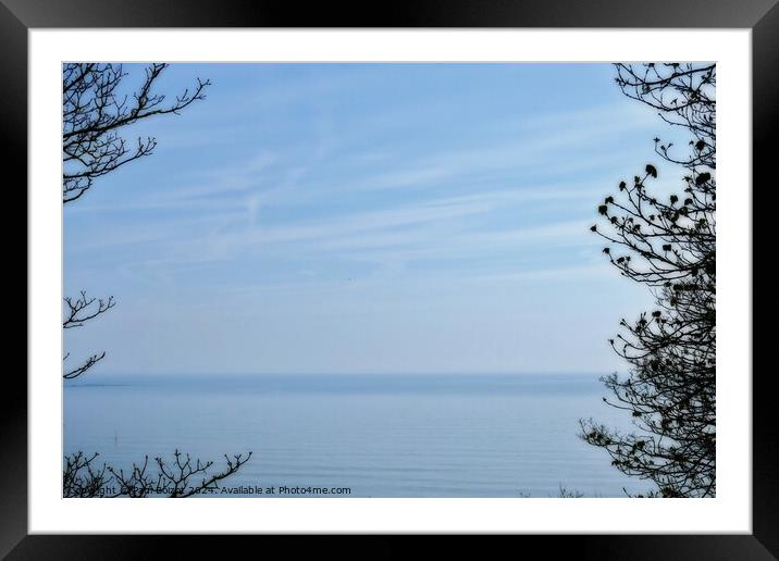 Sea and sky through trees, Filey, dreamy edit Framed Mounted Print by Paul Boizot