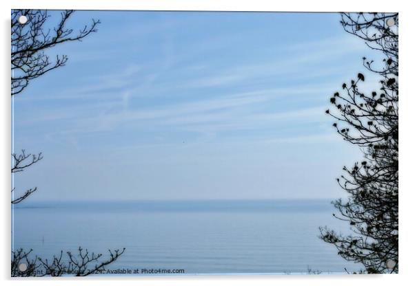 Sea and sky through trees, Filey, dreamy edit Acrylic by Paul Boizot