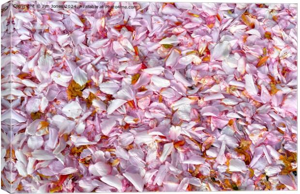 Fallen Blossom Canvas Print by Jim Jones