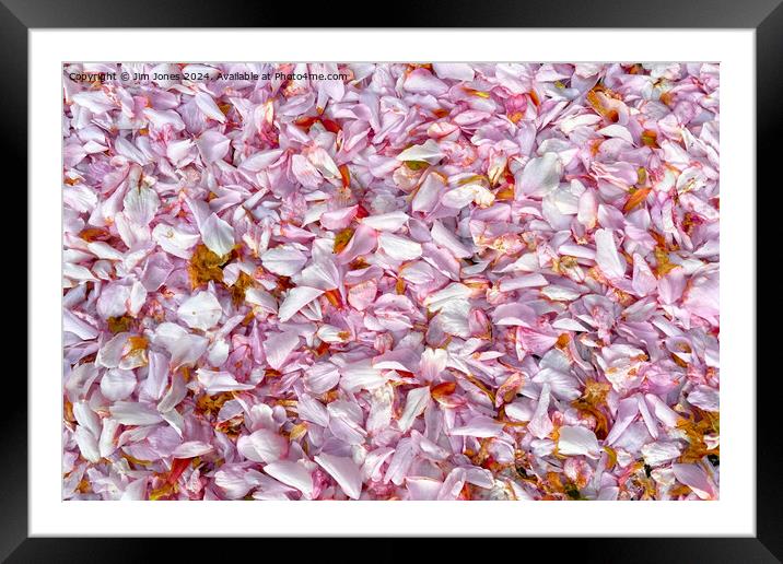 Fallen Blossom Framed Mounted Print by Jim Jones
