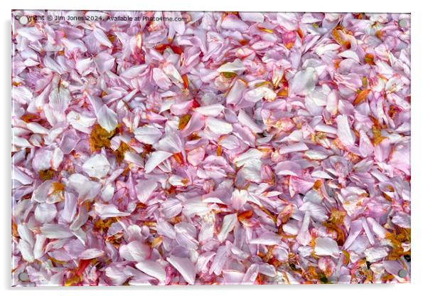 Fallen Blossom Acrylic by Jim Jones