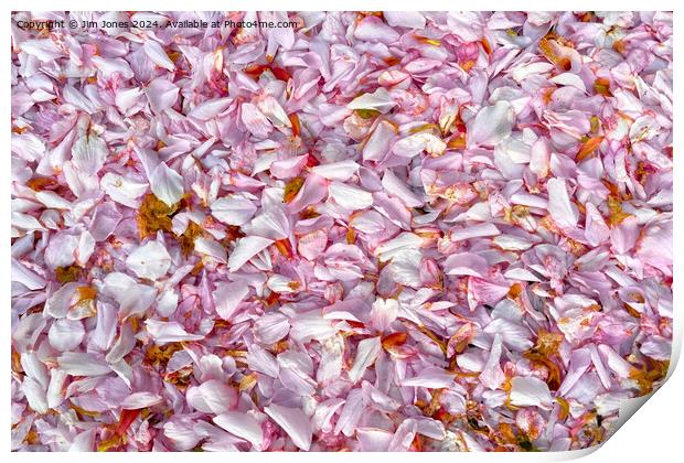 Fallen Blossom Print by Jim Jones