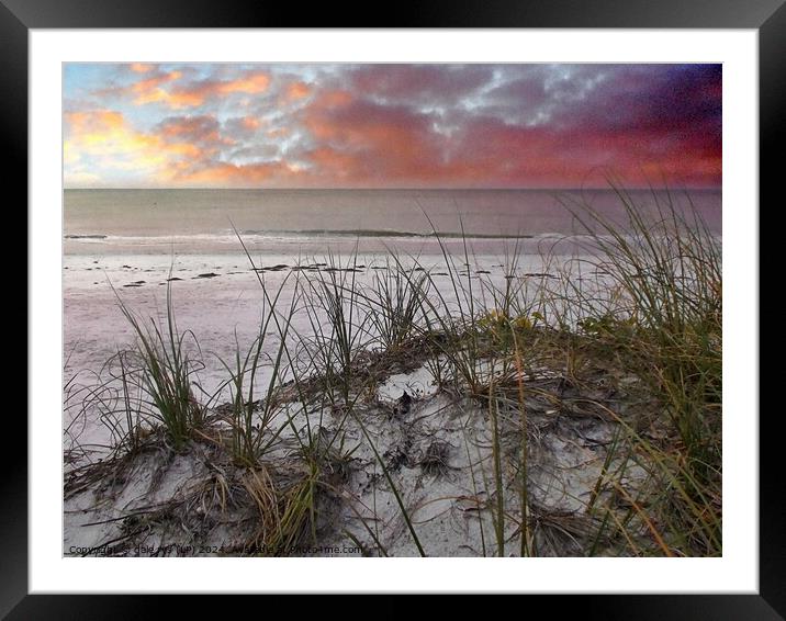 FLORIDA SUNSET SEA GRASS Framed Mounted Print by dale rys (LP)