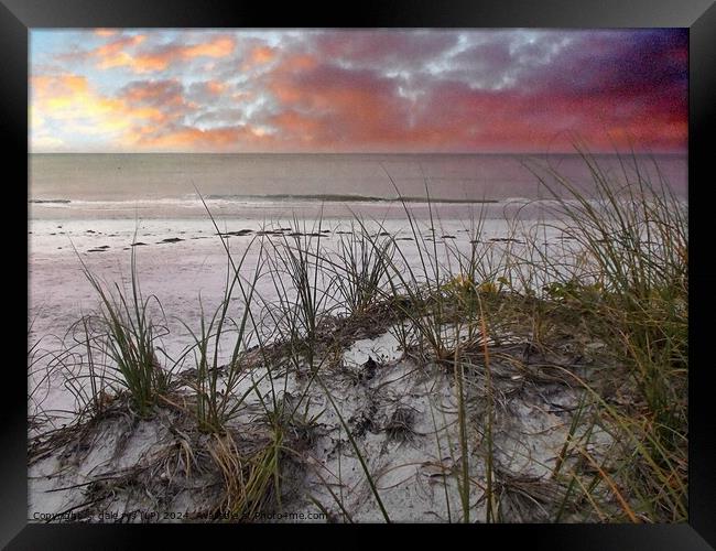 FLORIDA SUNSET SEA GRASS Framed Print by dale rys (LP)