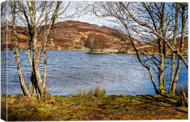 Loch Tarff in the Scottish Highlands Canvas Print by John Frid