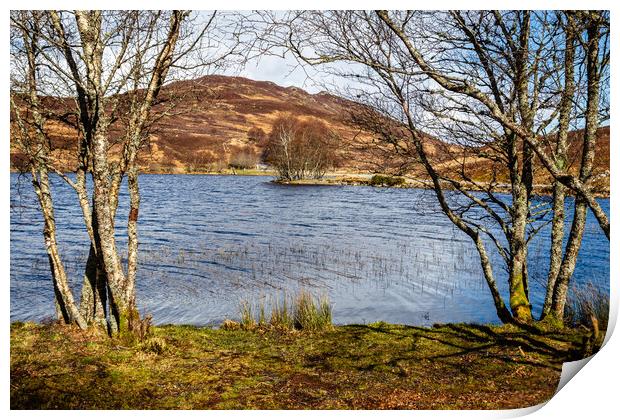 Loch Tarff in the Scottish Highlands Print by John Frid