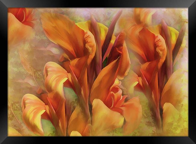 Calla Lillies flower Framed Print by Elaine Manley