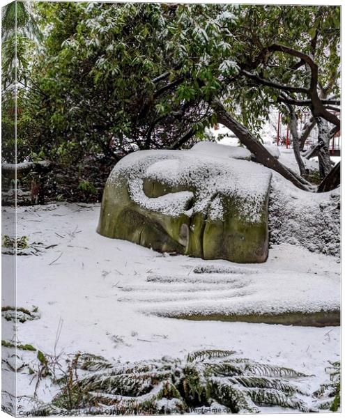 'Moss Lady' head and hand in snow Canvas Print by Robert Galvin-Oliphant