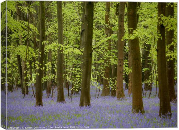 Bluebell wooy Canvas Print by Simon Johnson