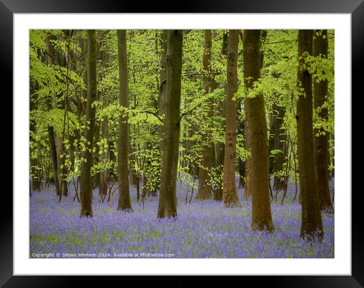 Bluebell wooy Framed Mounted Print by Simon Johnson