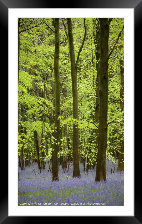 Bluebell Woodland  Framed Mounted Print by Simon Johnson