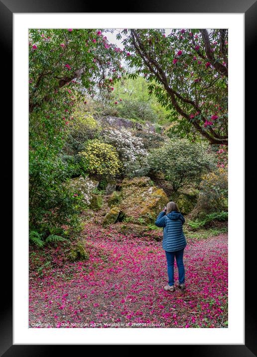 Views around the Welsh Village of portmerion Framed Mounted Print by Gail Johnson