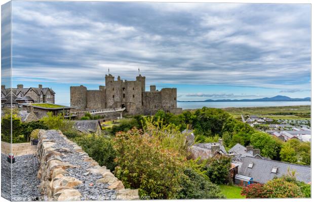 Views of Harlech Castle on the North wales coast Canvas Print by Gail Johnson