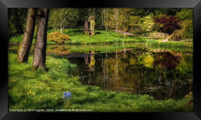 In an English country garden Framed Print by Clive Ingram