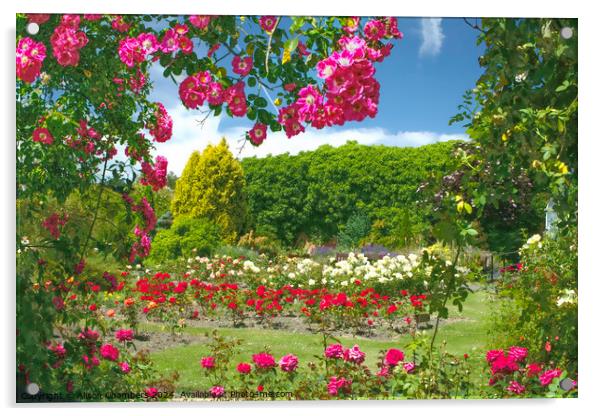 English Rose Garden  Acrylic by Alison Chambers