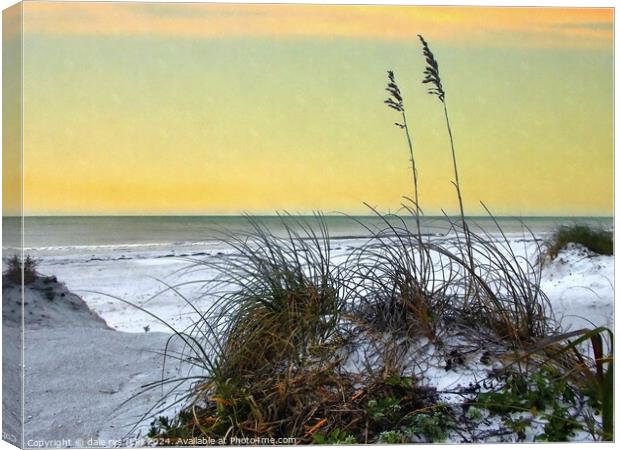 FLORIDA SUNSET SEA GRASS Canvas Print by dale rys (LP)