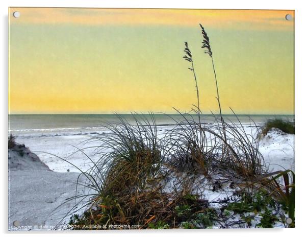 FLORIDA SUNSET SEA GRASS Acrylic by dale rys (LP)