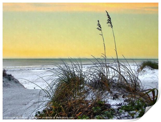 FLORIDA SUNSET SEA GRASS Print by dale rys (LP)
