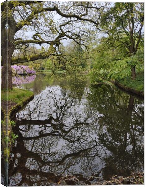 National trust  Canvas Print by Rachael Smith