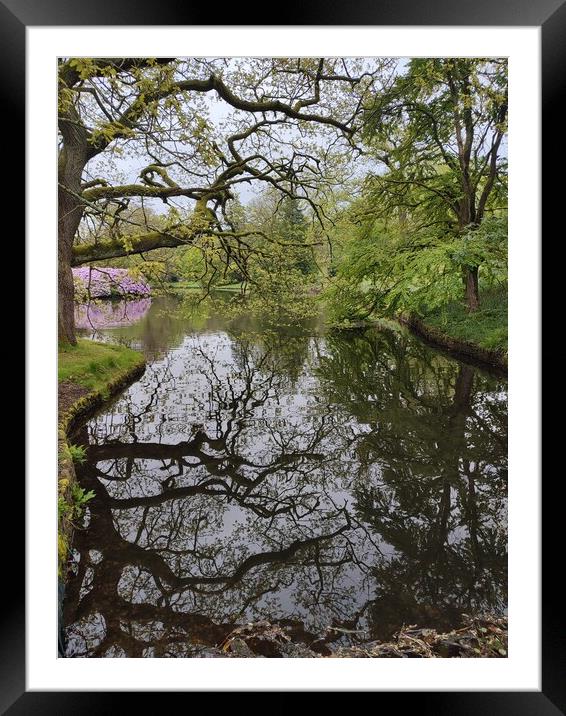 National trust  Framed Mounted Print by Rachael Smith