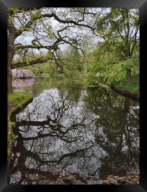 National trust  Framed Print by Rachael Smith