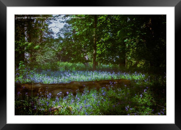 Bluebell dreams  Framed Mounted Print by Steven Kirsop