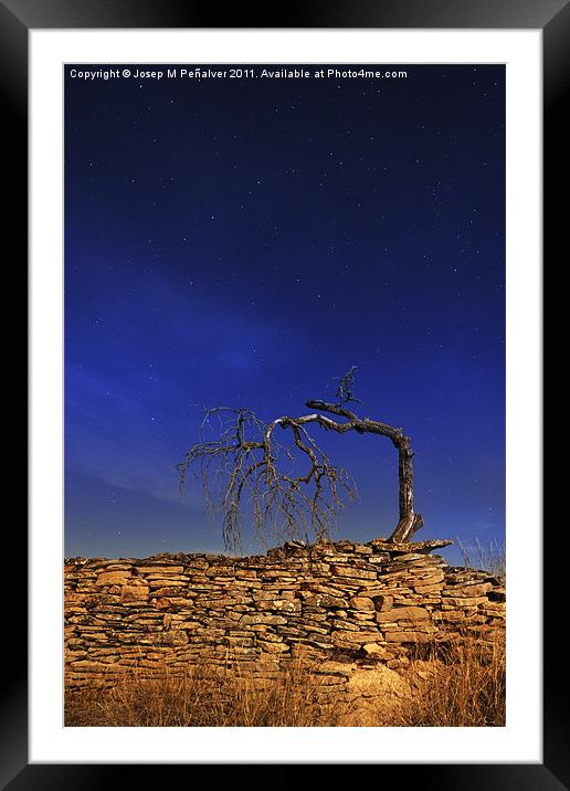 Nocturne with dead tree Framed Mounted Print by Josep M Peñalver