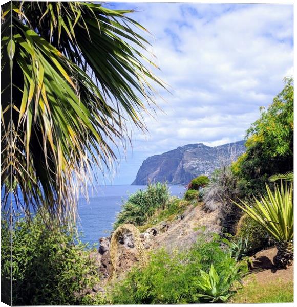 Palm and view of Madeira sea cliff  Canvas Print by Robert Galvin-Oliphant