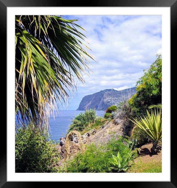 Palm and view of Madeira sea cliff  Framed Mounted Print by Robert Galvin-Oliphant