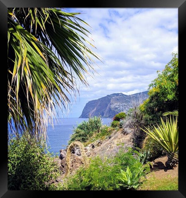 Palm and view of Madeira sea cliff  Framed Print by Robert Galvin-Oliphant