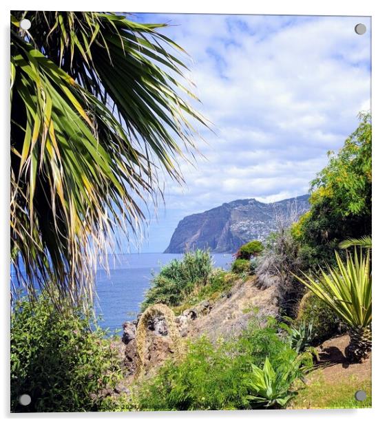 Palm and view of Madeira sea cliff  Acrylic by Robert Galvin-Oliphant
