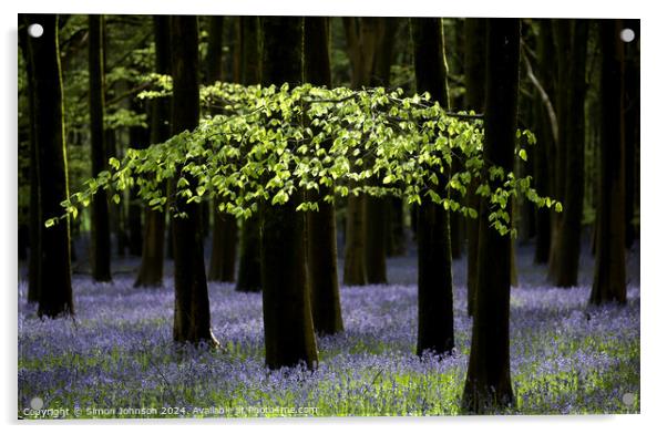 Sunlit leaves and bluebells  Acrylic by Simon Johnson