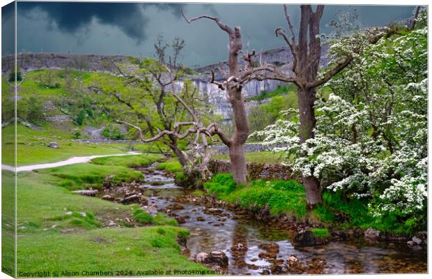 Malham Cove Canvas Print by Alison Chambers