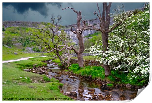 Malham Cove Print by Alison Chambers