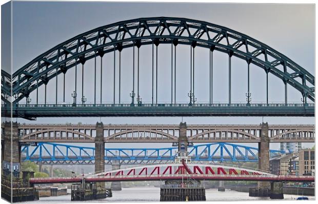 Newcastle upon Tyne Bridges Canvas Print by Martyn Arnold