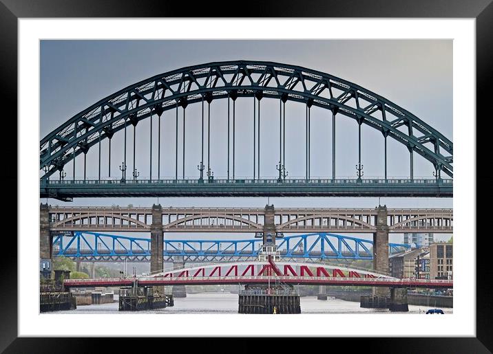 Newcastle upon Tyne Bridges Framed Mounted Print by Martyn Arnold